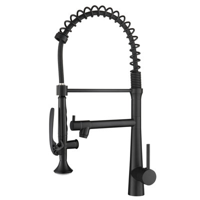 Robinet d'évier de pré-rinçage à poignée simple - tuyau de cuisine noir mat robuste