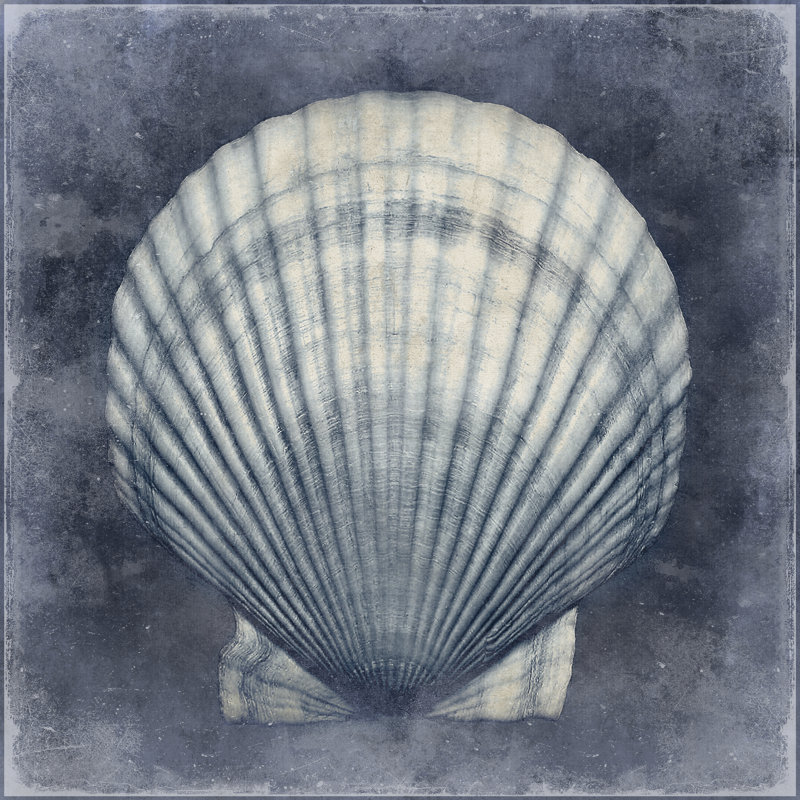 Ocean Blue II by Caroline Kelly - Wrapped Canvas Print, 30cm H x 30cm W