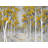 Yellow Birch Forest Print On Canvas-98694430