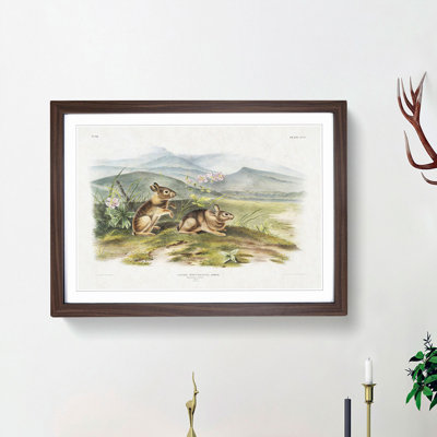 Two Hares by J.W. Audubon - Framed Print
