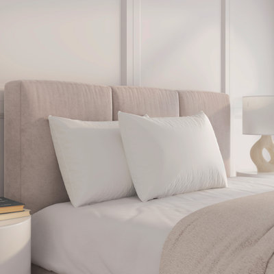 Dream Big Twin Pack Bed Pillows