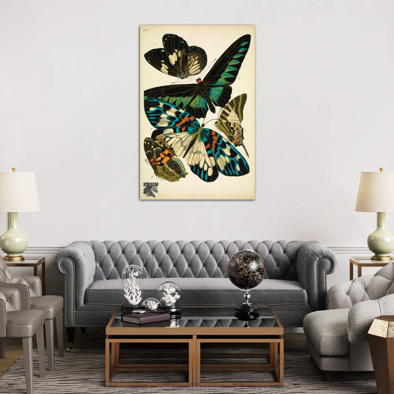 Papillons (Butterflies) X by E.A. Séguy - Wrapped Canvas Print, 152.5 cm H x 101.5 cm W