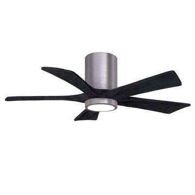 Irene Ceiling Fan with LED Light Kit