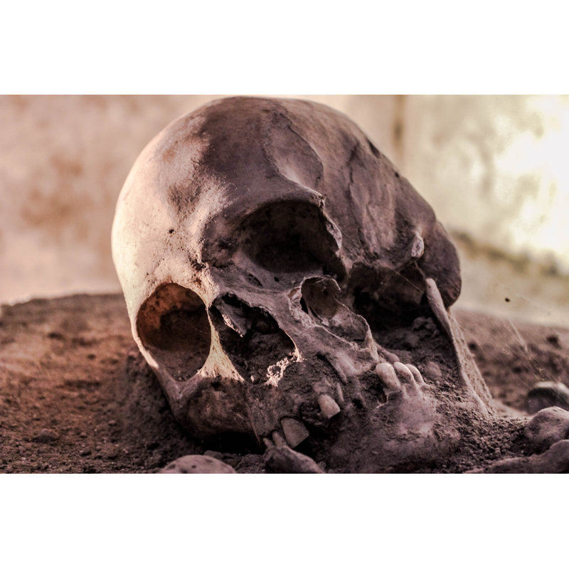 SKULL by MrDamien - Wrapped Canvas Print, 61cm H x 91cm W