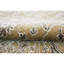 Oriental Area Rug in Brown-72344775