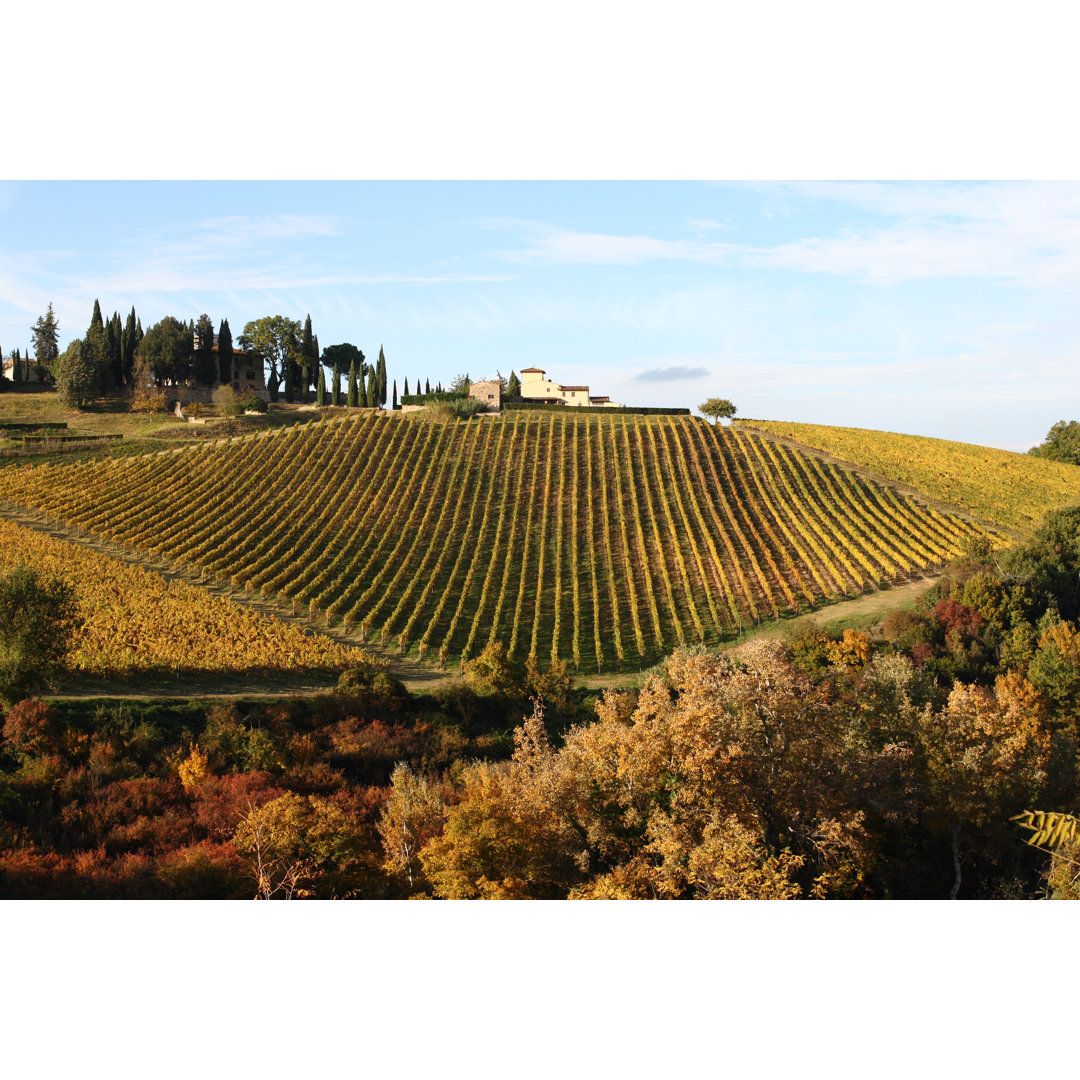 Great Vineyard At Fall Chianti von Manuwe - Wrapped Canvas Art Prints