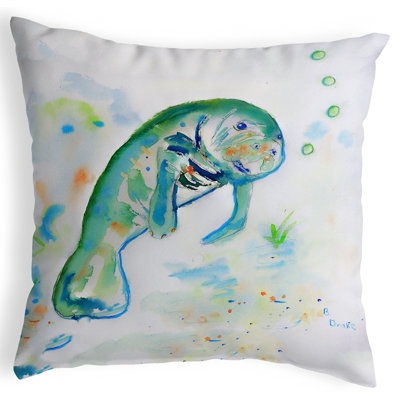 Outdoor Reversible Throw Pillow
