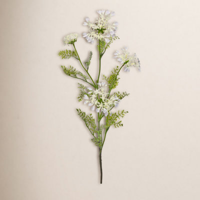 Field Yarrow Stems