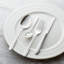 Jamie Dinner Plate