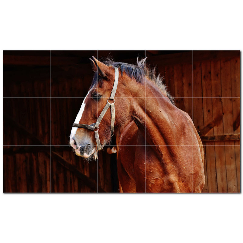 Murale en céramique satinée cheval photo 12 po x 12 po