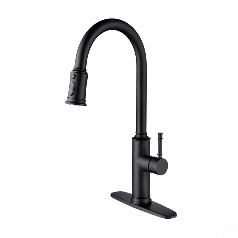 Kitchen Faucet With Pull Out Spraye