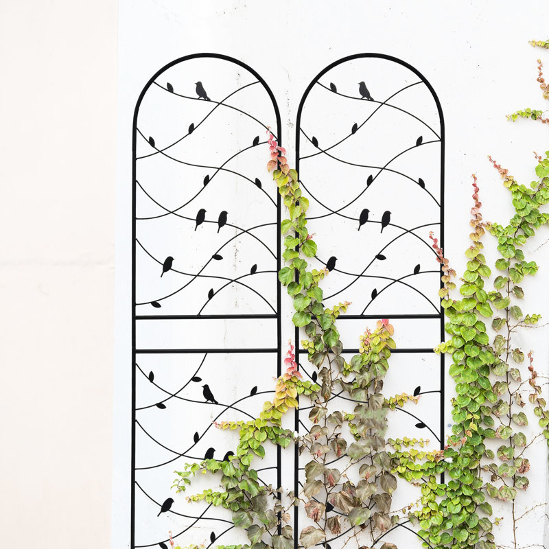 Ensemble de 4 treillis de jardin en métal 71 po x 19,7 po antirouille. Extérieur noir pour le soutien des plantes. Matériau facile à assembler. Parfait lierre, rose, gloire du matin, jasmin, plantes grimpantes au concombre.