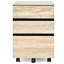 Bartlesville 3 Drawer Filing Cabinet