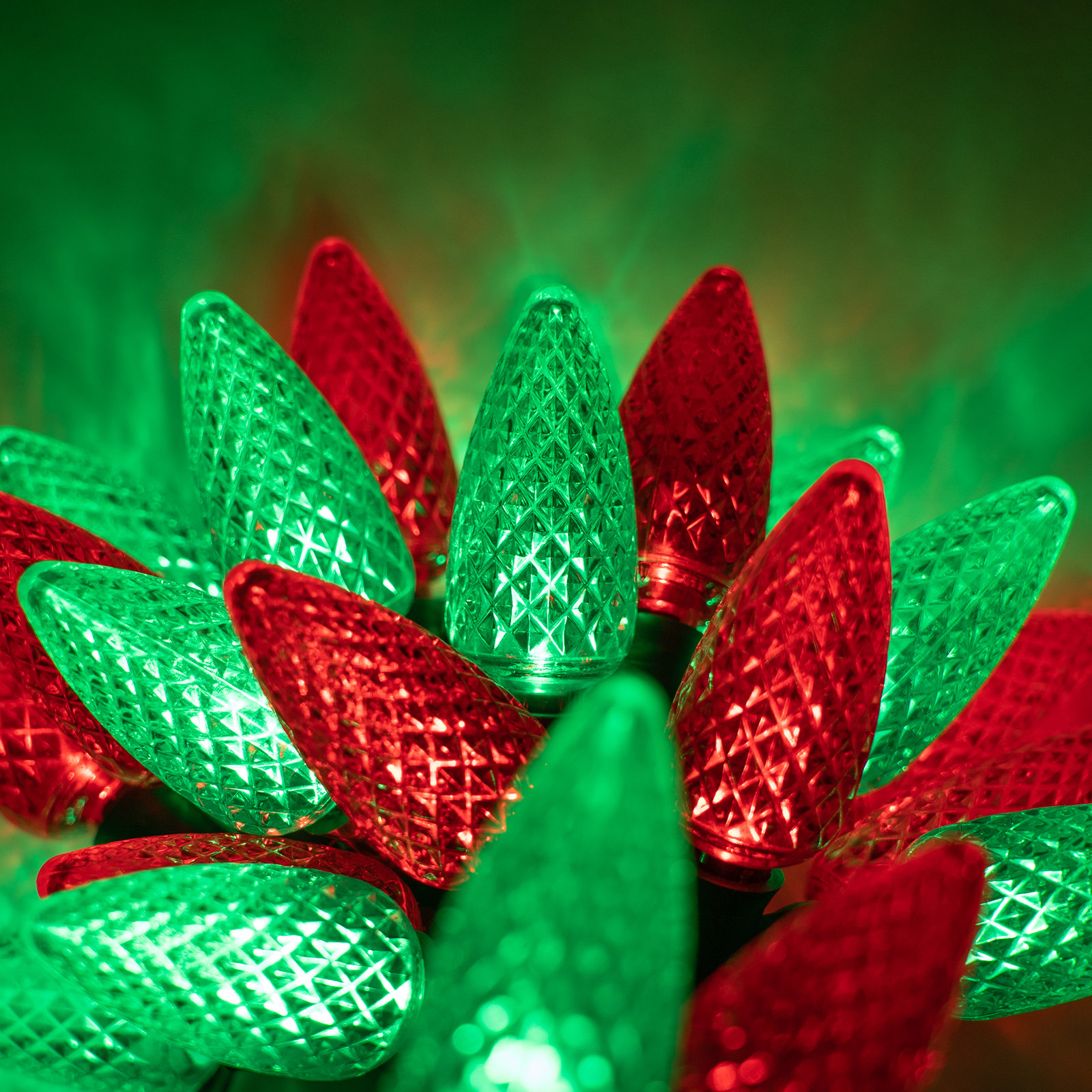 C9 LED Christmas String Lights, Red/Green, 16.3' L, 24