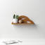 Donyell Accent Shelf