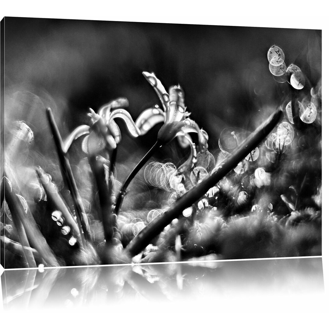 Leinwandbild Zarte Lila Wiesenblumen im Morgentau in Monochrom