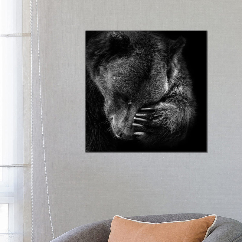 Bear I by Lukas Holas - Wrapped Canvas Print, 66.04 cm H x 66.04 cm W x 1.91 cm D