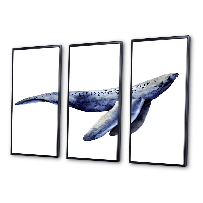 «Blue Sperm Whale on White IV», photographie flottante sur toile 3 pièces, Cadre noir, H 28 po x l 36 po x P 1 po