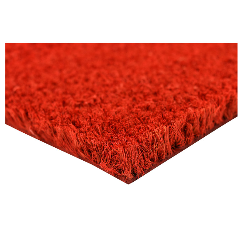 Tapis d'entrée antidérapant Kasper, L 24 po x L 36 po, Rouge
