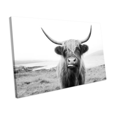 Highland Cow - Wrapped Canvas Print
