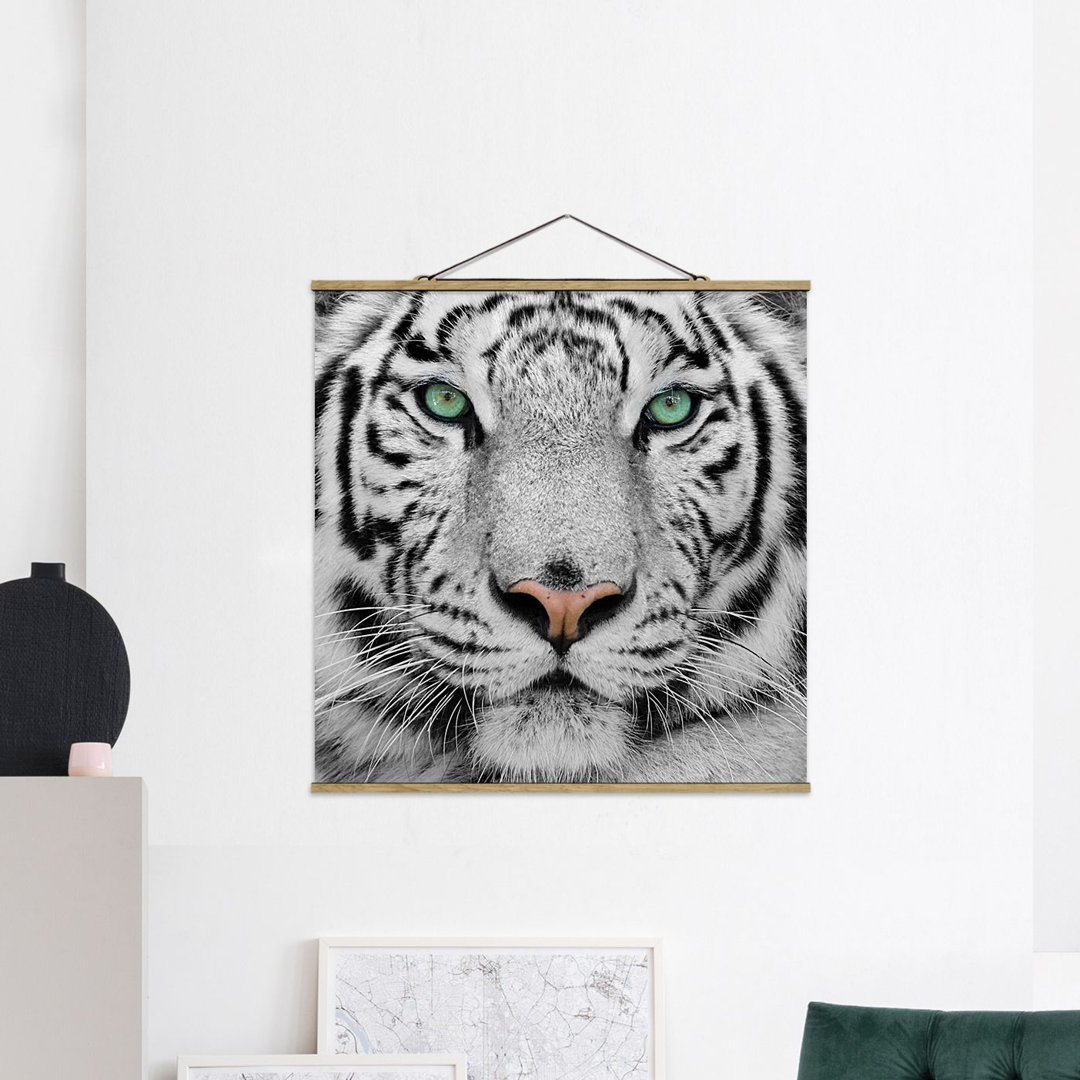 Fotodruck White Tiger