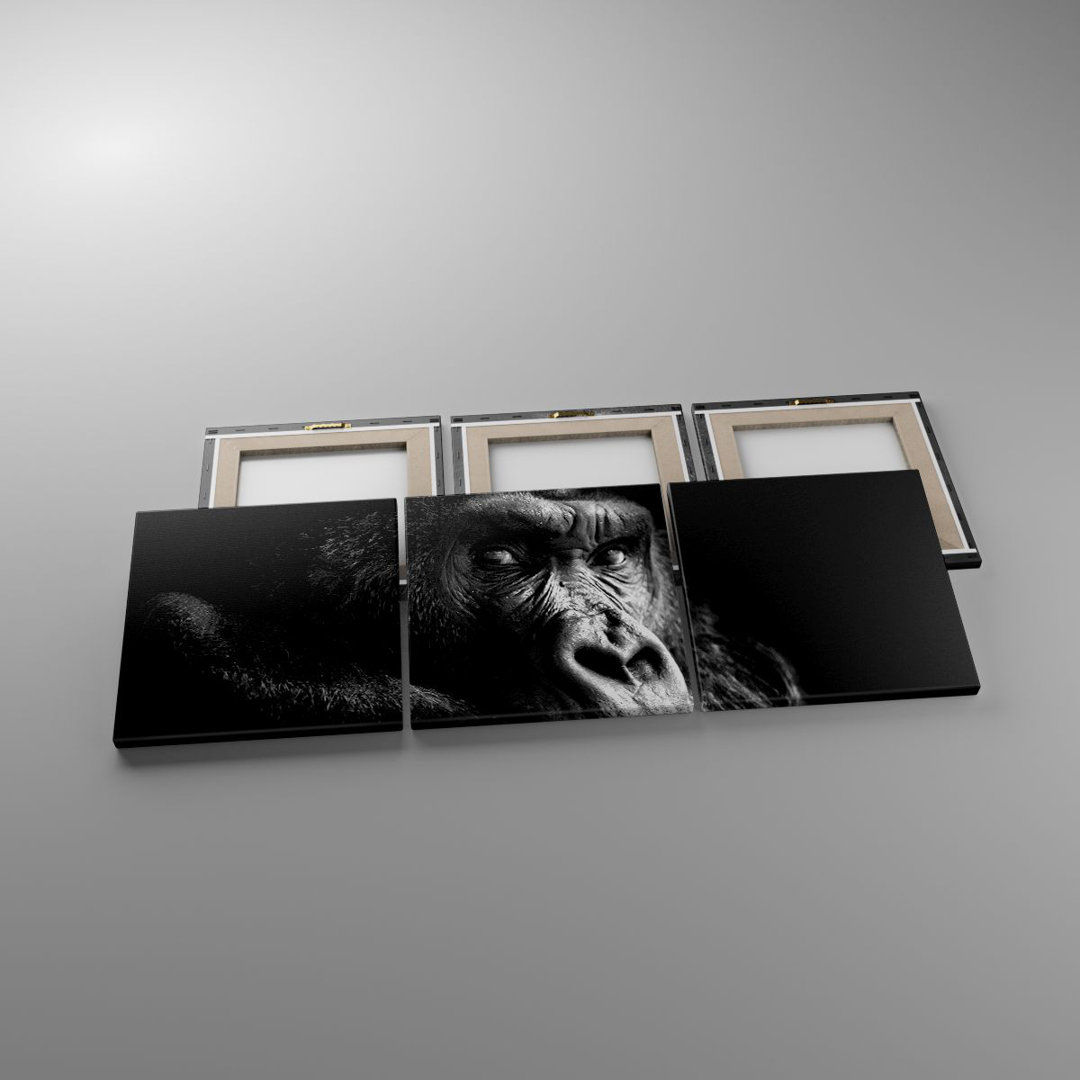 3-tlg. Fotodruck-Set Monkey Gorilla