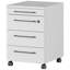 Miabella 41 cm W 4 -Drawer Filing Cabinet-713059734