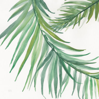 "Ferns IV" par Chris Paschke, reproduction d'art sur toile tendue