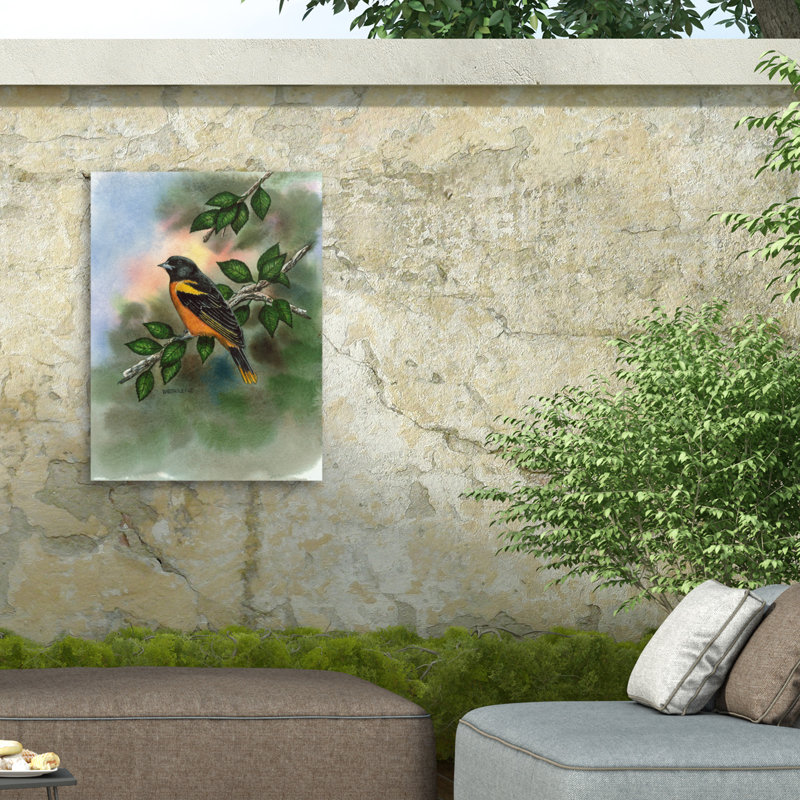 Toile pour l'extérieur Dave Bartholet Oriole, H 14 po x l 19 po