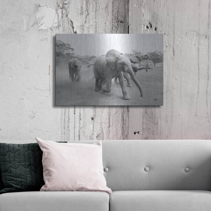  'Elephant Race Bw' by Max Blakesberg Studios Metal Wall Art, 36" x 24", 24" H x 36" W