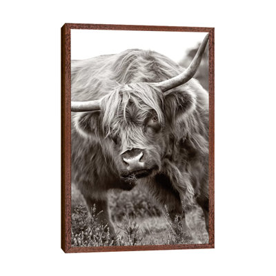 The Bull by Jacky Parker - Print on Canvas