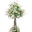 Stephanotis Tree in Fiberstone Pot