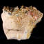 Vanadinite sur cristal de goethite