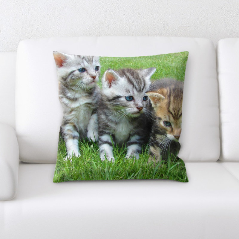 Coussin chatons