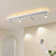 White LED Adjustable Fixed Track Head