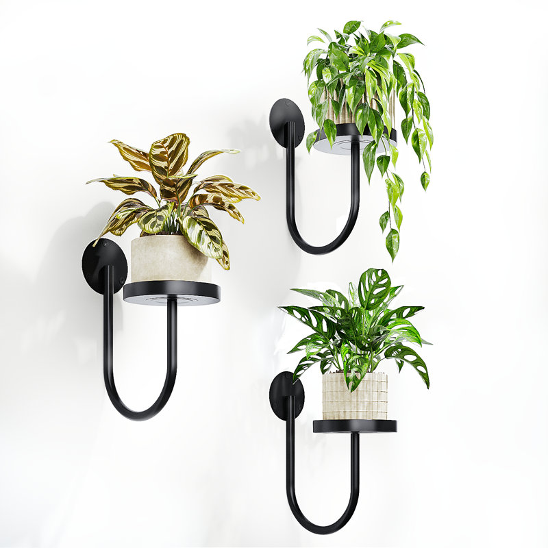 Ensemble de 3 pots de fleurs suspendus muraux noirs pour la maison