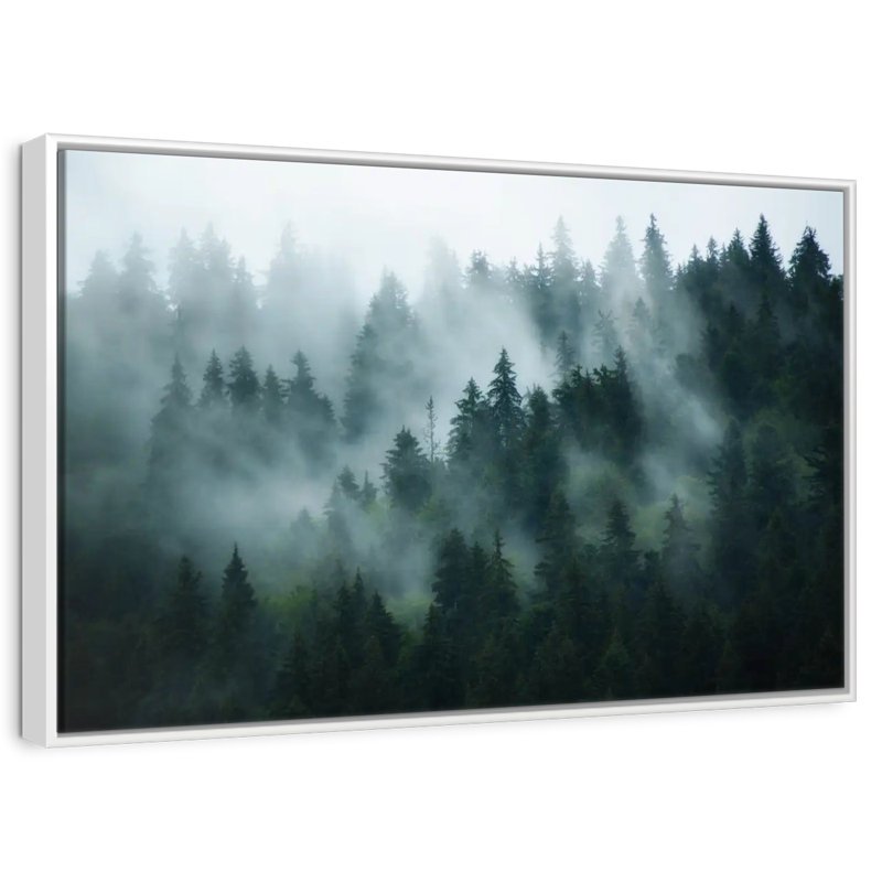 Forêt de sapins brumeux, Cadre flottant blanc, 31 po x 21 po