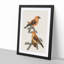 Red Crossbill Birds by Von Wright - Picture Frame Painting Print-55598024-55598026