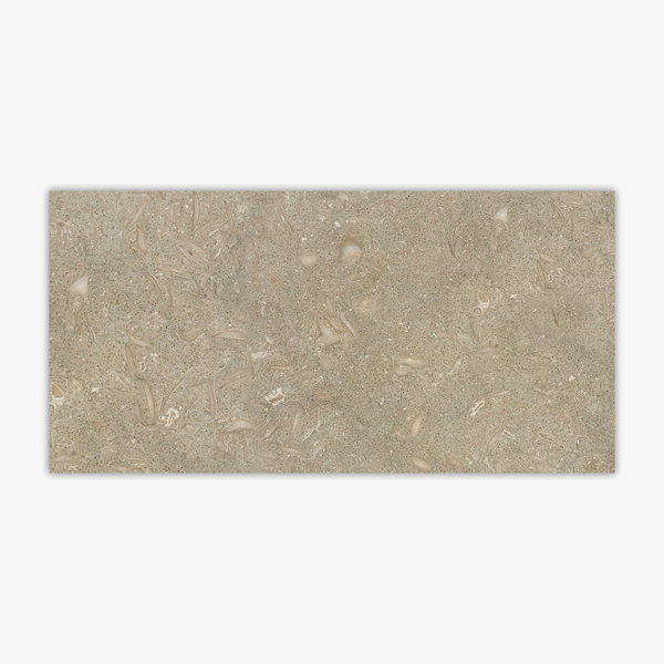 Seagrass Honed 12x24 Limestone Tile