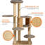 Ridglee 133 cm H Cat Scratchers