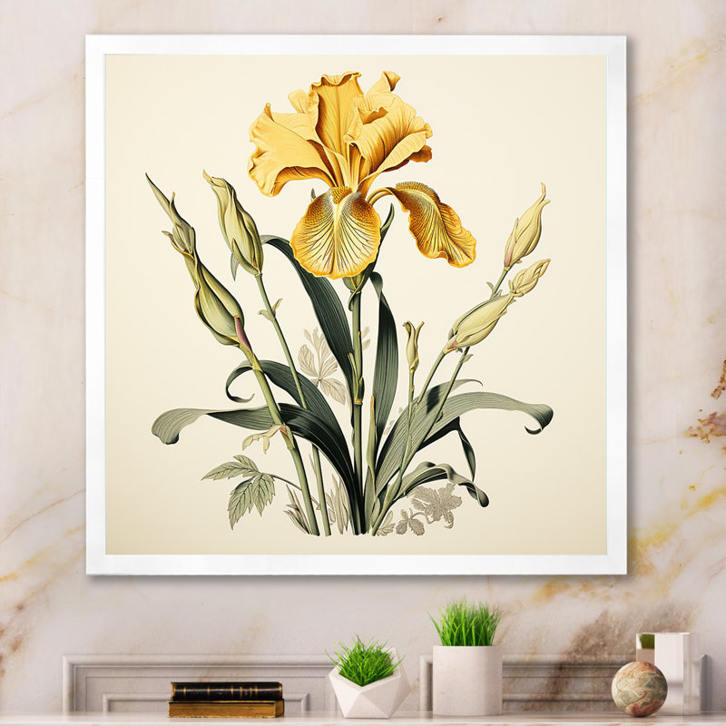 Iris jaune, illustration rétro I sur toile, Cadre simple blanc, H 16 po x l 16 po x P 1 po