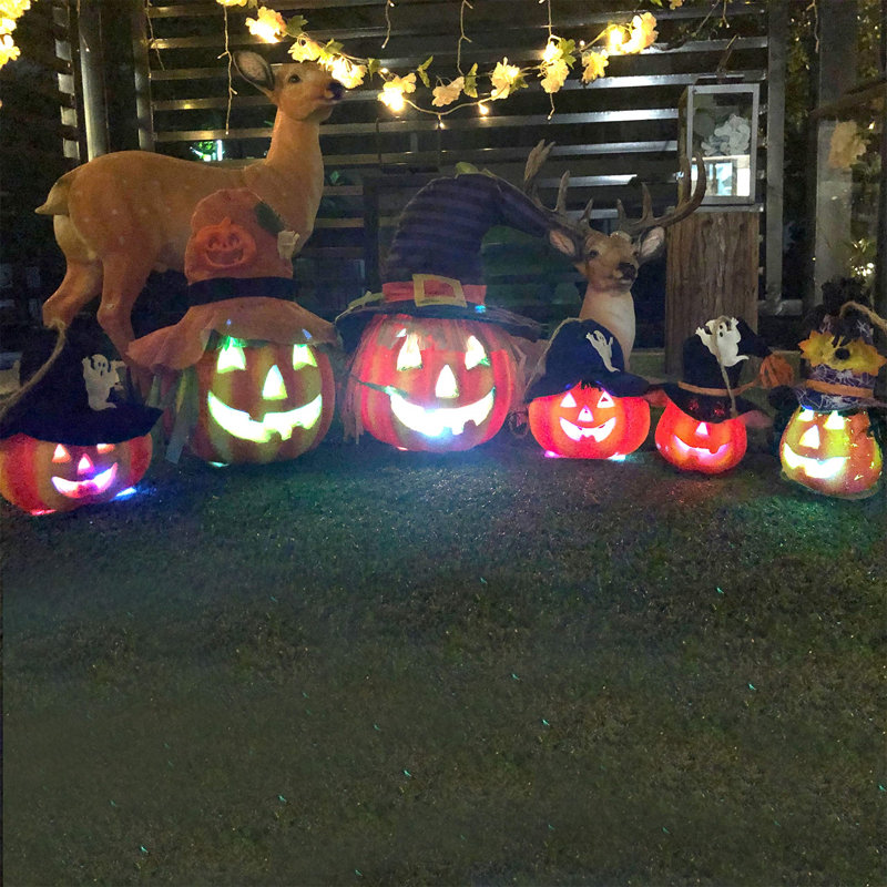 Halloween Abstract Lantern