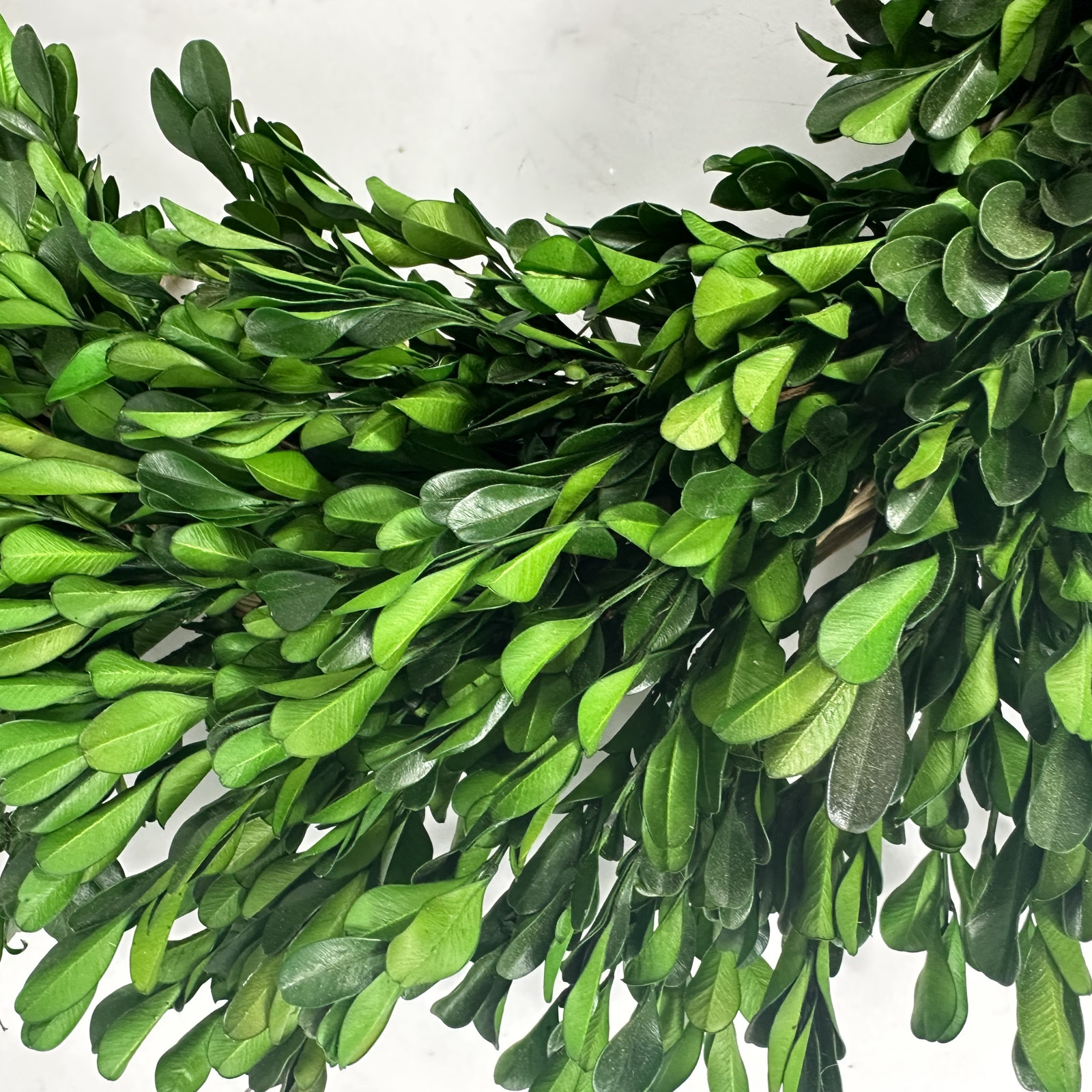 21'' Preserved Wheat Fall Wreath, Green