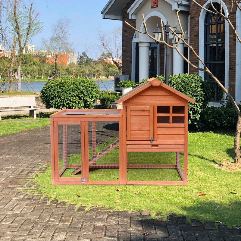 Cage et poulailler en bois: spacieuse, sécuritaire, facile à faire, avec clôture lapin facile à assembler, résistante aux intempéries