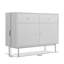 Adlena 2 - Door Rectangle Accent Cabinet-393944456