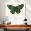 Brampt papillon antique I-107709768
