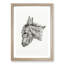 Head of a Donkey by Jean Bernard - Picture Frame Drawing Print-55580127-55580129