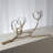 Twig 3 Vase Holder-Nickel-22841095