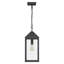Mini-luminaire suspendu noir tacheté 1 lumière Dewayne