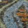 Adderley Floral Indoor Rug